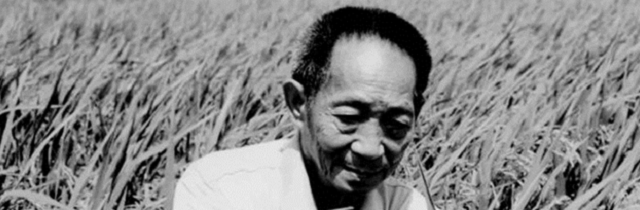 杂交水稻之父袁隆平去世，袁老您走好-AA源码网 | 源码收藏